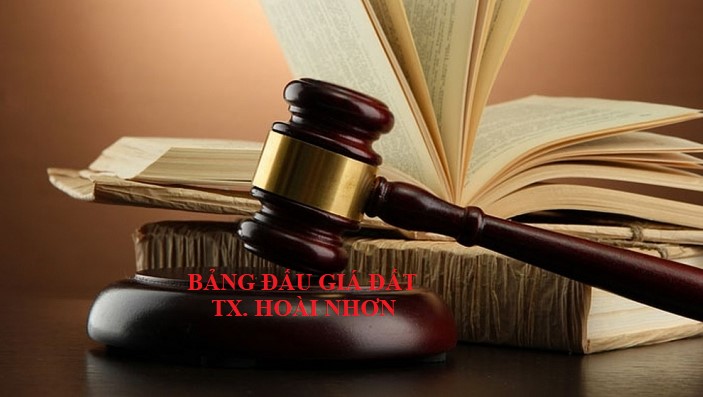 Bảng Đấu Gía Đất Nền Phường Hoài Hảo; Hoài Tân; Tam Quan…