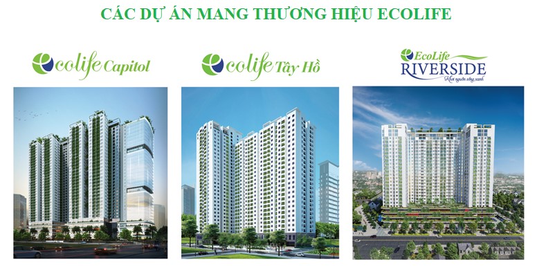 Chủ Đầu Tư Dự Án Chung Cư Ecolife Riverside-Ecohome-Ecocity