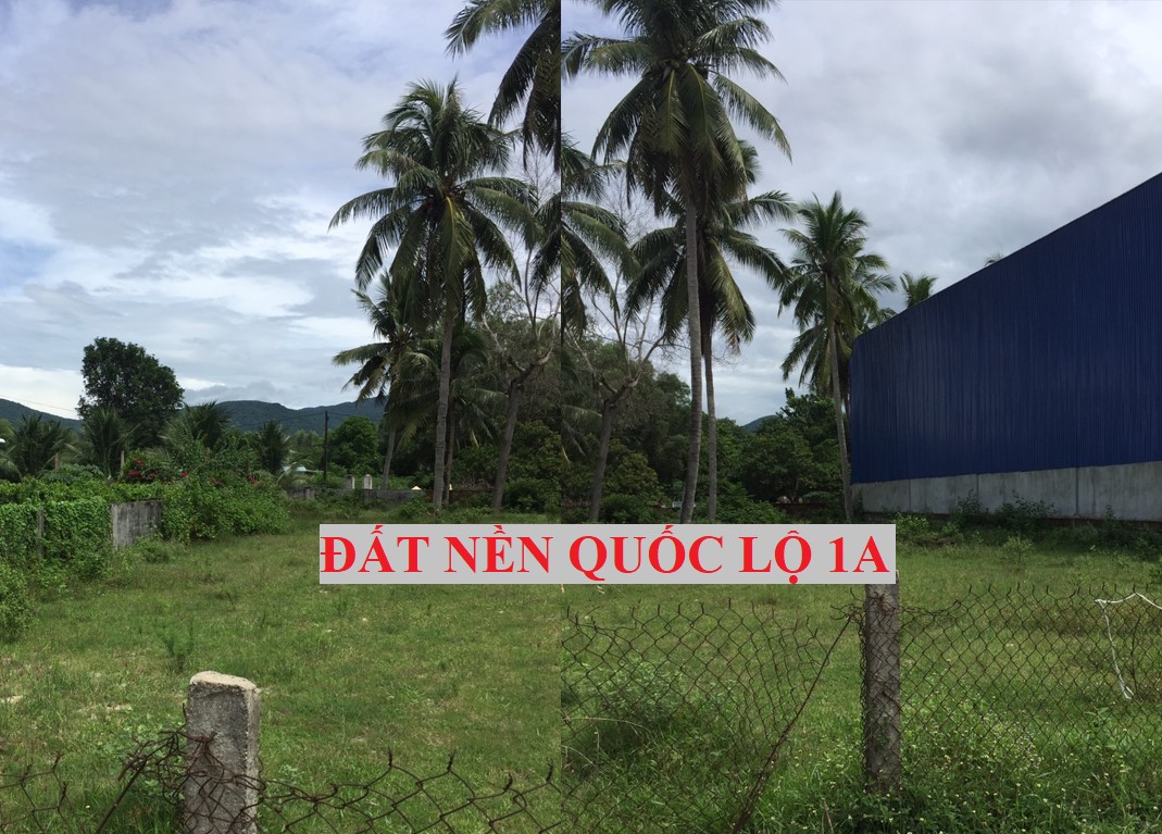 Đất Mặt Tiền QL.1A Phù Cát 795m2 Có 500m2 Thổ Cư - 200Tr/m