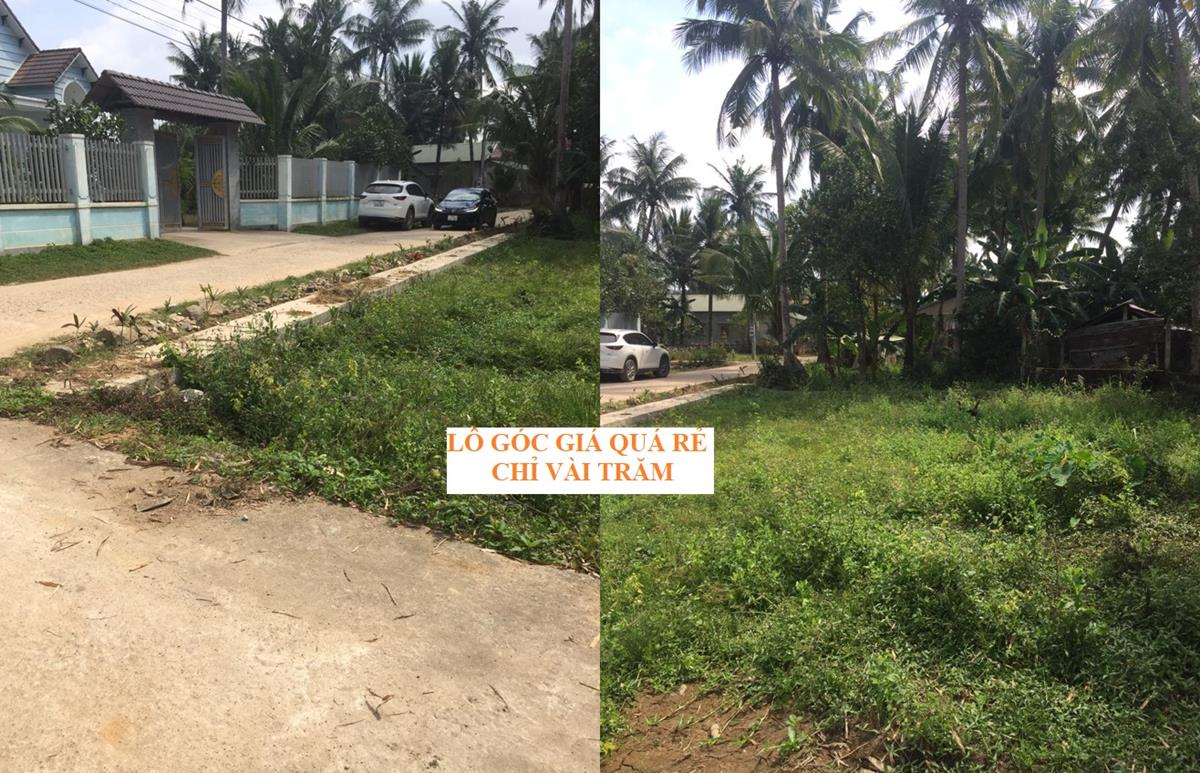 Lô Góc 98m2 Thổ cư Cự Lễ, Hoài Phú, TX. Hoài Nhơn |Chỉ 2xx