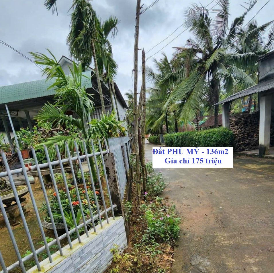 Đất Phù Mỹ Gía Rẻ🔵136m2 Full Thổ Cư |chỉ 175 Triệu|
