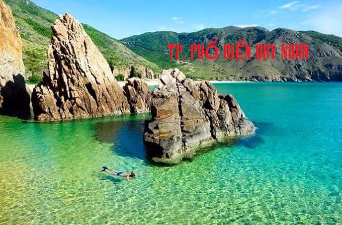 Cơ Sở Hạ Tầng Của Quy Nhơn - Bình Định | BĐS Có Tiềm Năng