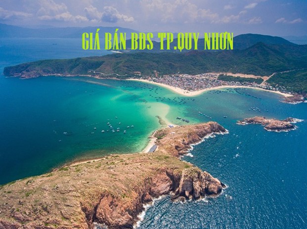 Gía Nhà Đất Quy Nhơn – Mua Nhà Mua Đất Ở QN Gía Có Rẻ?