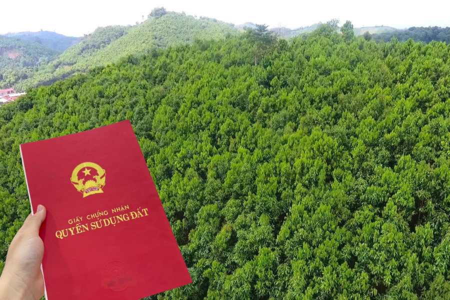 Hướng Dẫn Cấp Sổ Đỏ với Đất Rừng Phòng Hộ Theo Luật Đất Đai 2024