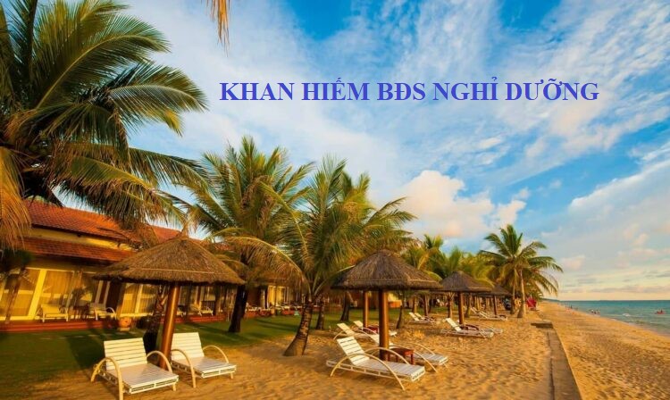BĐS Nghỉ Dưỡng Đẳng Cấp Quốc Tế Khan Hiếm Tại TP. Quy Nhơn