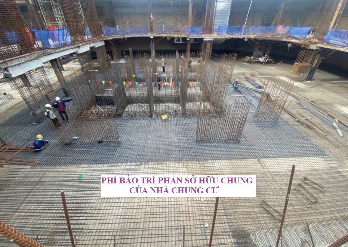 Kinh Phí Bảo Trì Nhà Chung Cư | Trên Địa Bàn Tỉnh Bình Định