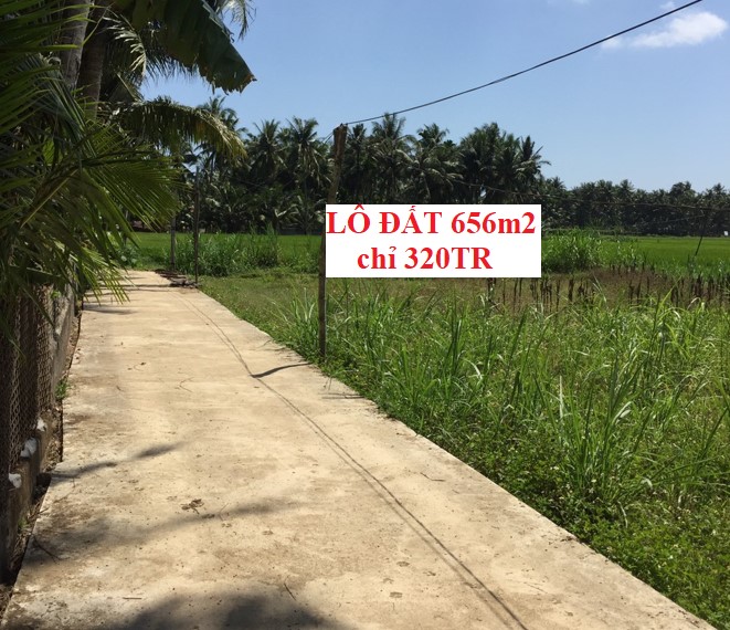 Lô Đất P. Hoài Thanh Tây, Tx. Hoài Nhơn 656m2|Chỉ 320tr