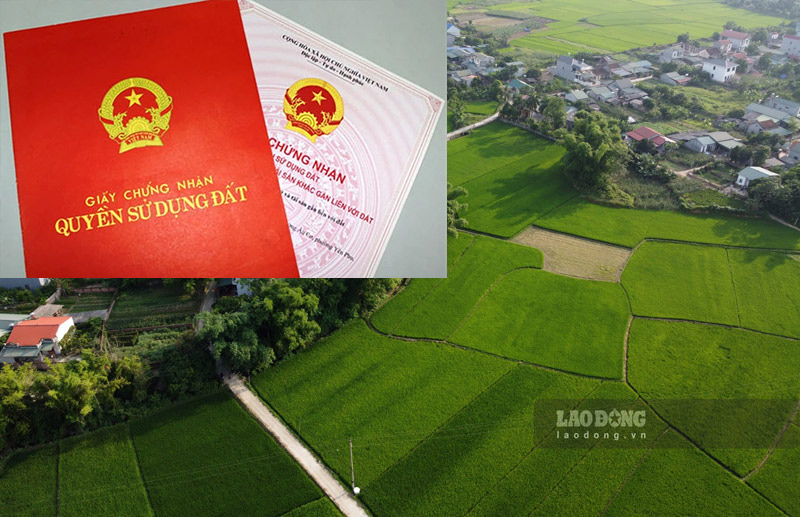 Luật Đất Đai 2024 Quy Định Chuyển Đất Ruộng Thành Đất ở?