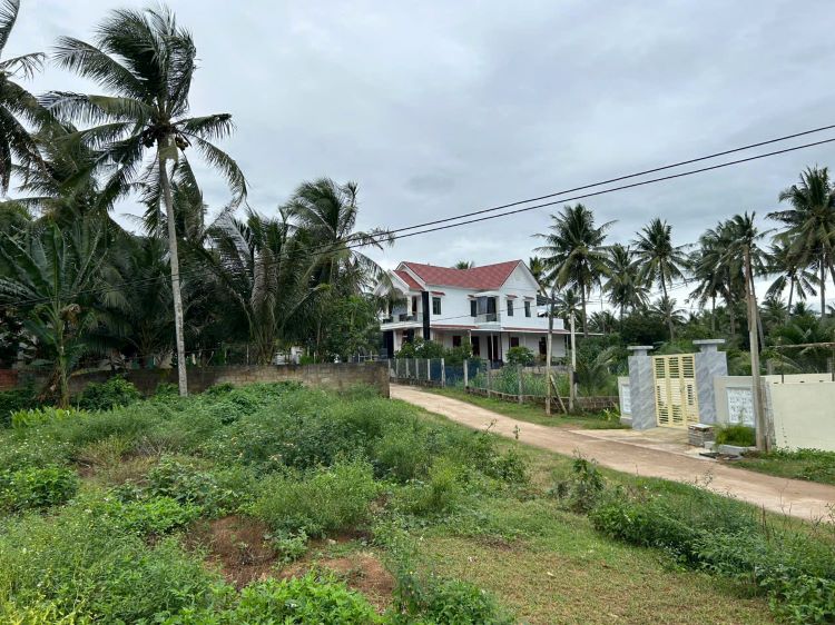 Nhà Vườn Hoài Thanh, Tx. Hoài Nhơn 4.800m2 có 200m2 Đất ở
