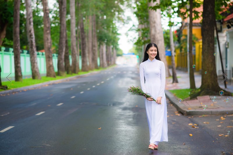Mở Rộng Đường NGUYỄN BỈNH KHIÊM - NGUYỄN THIỆN THUẬT