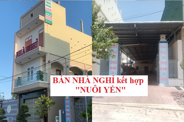 Bán Nhà Nghỉ + Nuôi Yến View Bàu Hồ, TX. Hoài Nhơn|Gía rẻ