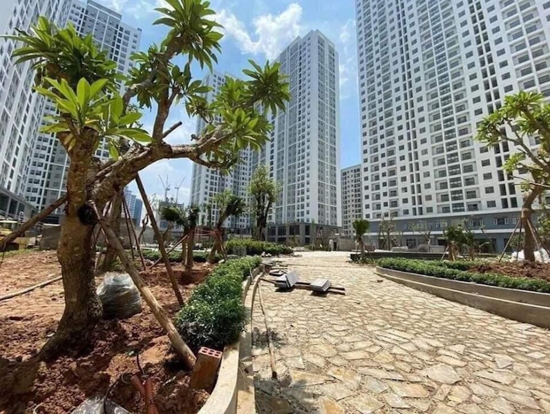 Nhà Ở Xã Hội Ecohome Nhơn Bình Giai Đoạn I - TP. Quy Nhơn