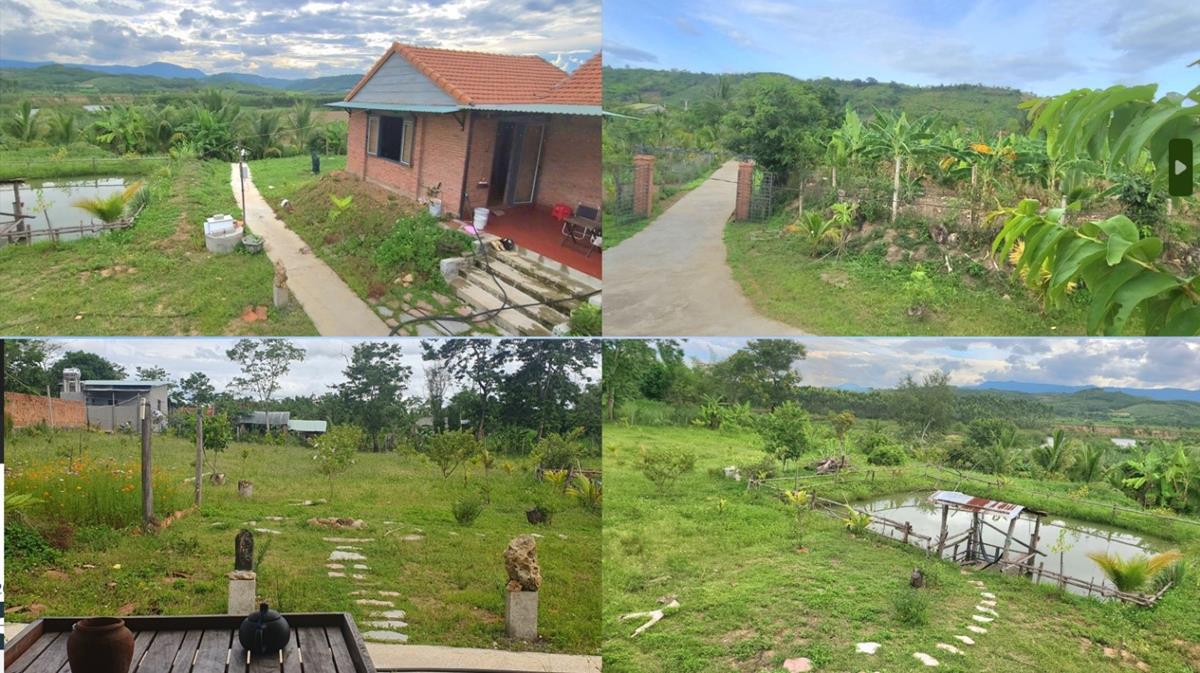 Nhà Vườn Homestay Ven Sông, 2 Mặt Đường, 4.000m2 |Gía rẻ