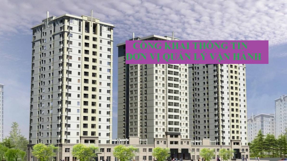 Thông Tin Đơn Vị Quản Lý Vận Hành Nhà Chung Cư TP. Quy Nhơn