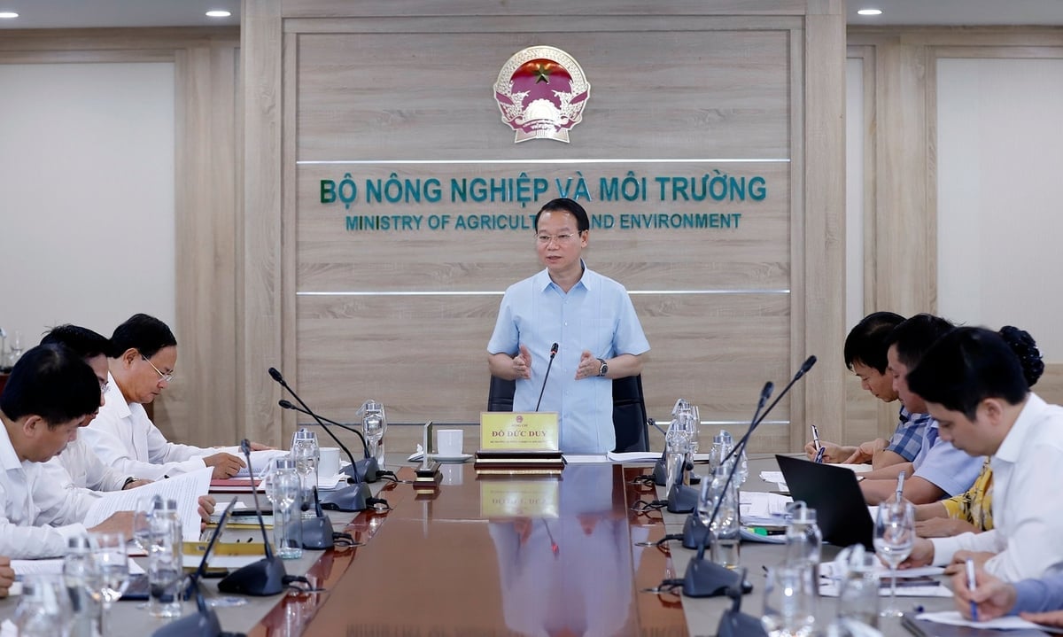 Bộ trưởng Đỗ Đức Duy chủ trì cuộc họp. Ảnh: Khương Trung.