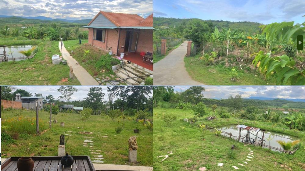 nhà vườn homestay gia lai