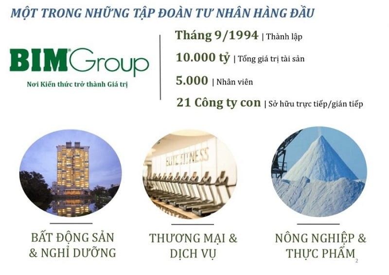 cdt bim group