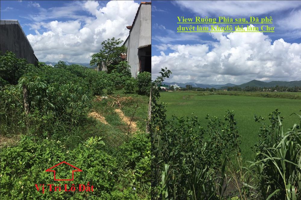 đất nền thị xã hoài nhơn