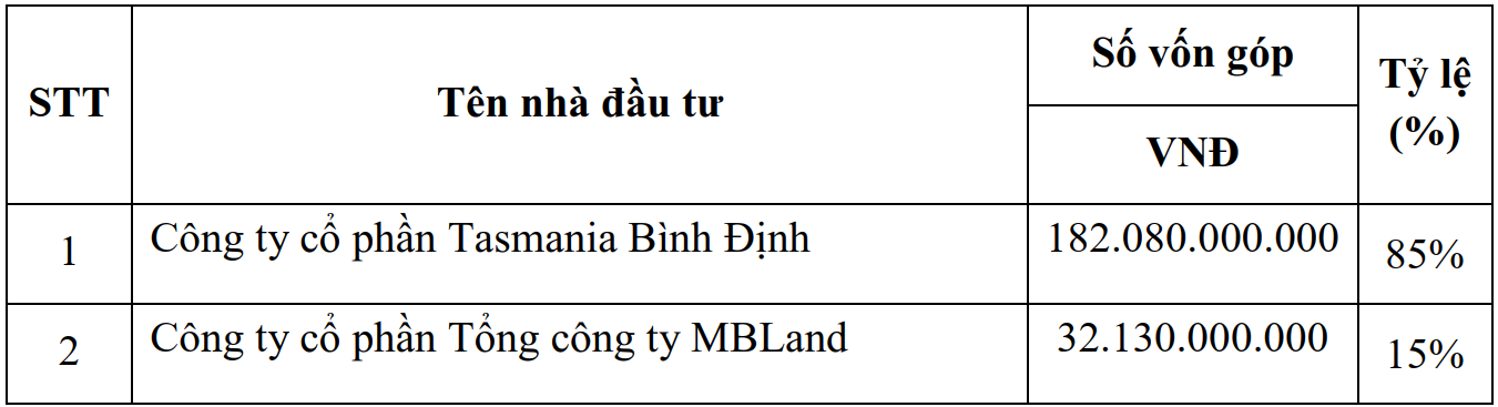 chủ đầu tư dự án bắc bình định