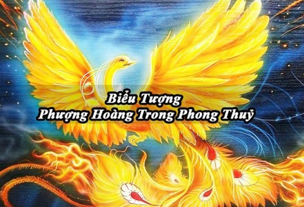 chim phượng hoàng
