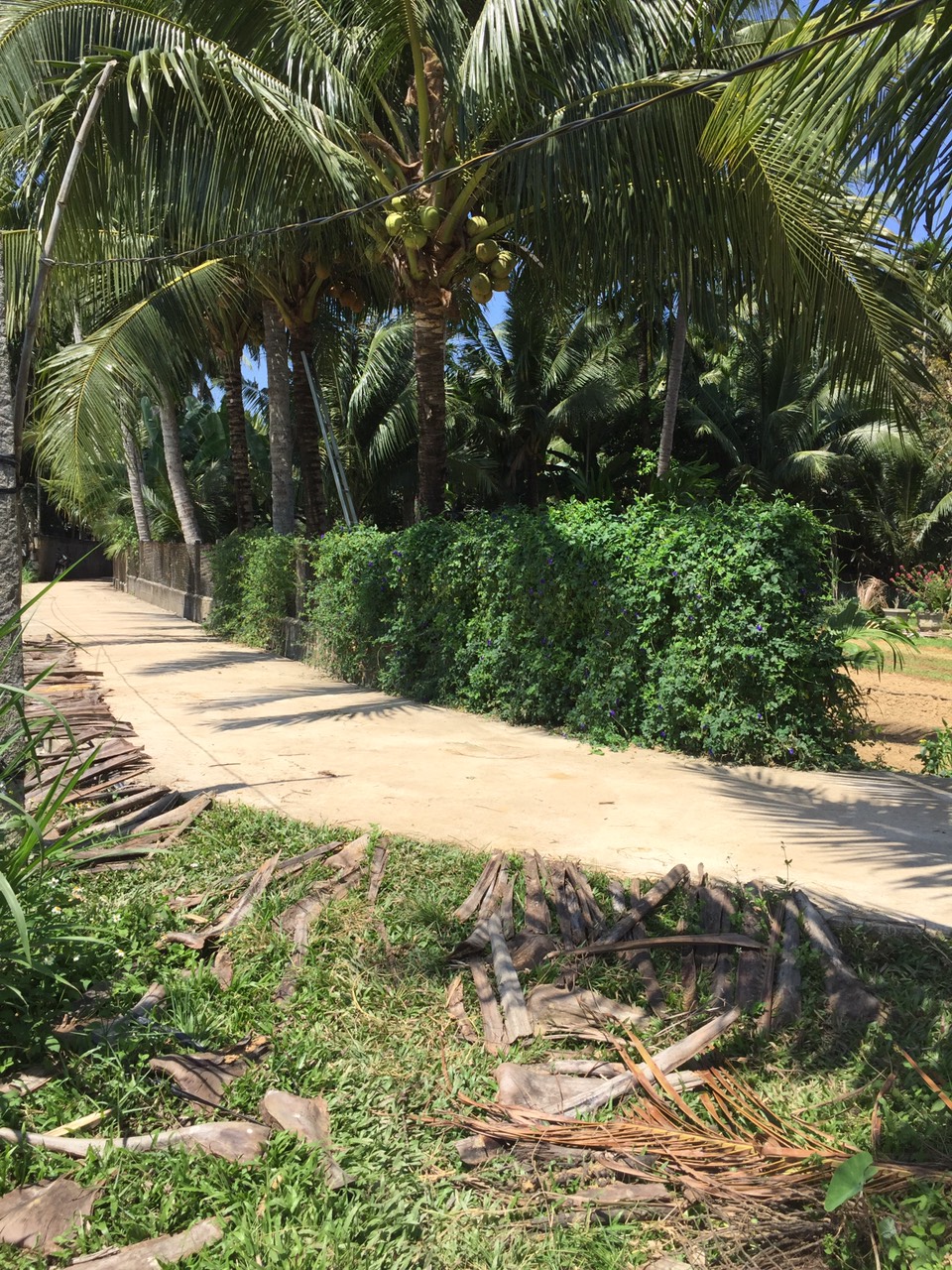 đất nền hoài thanh tây hoài nhơn