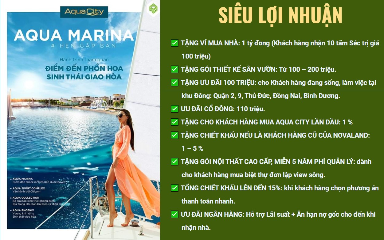 chính sách ưu đãi aqua city