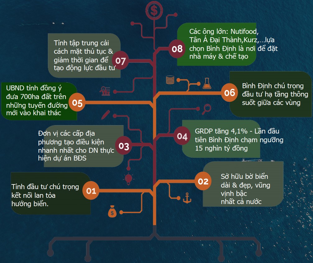 tổng quan về hoai nhơn bình định