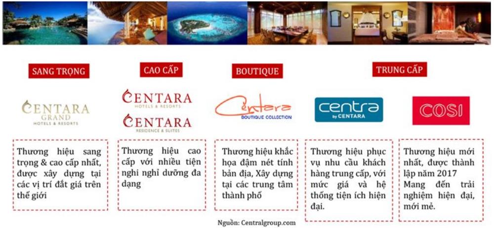 đơn vị vận hành quản lý khách sạn