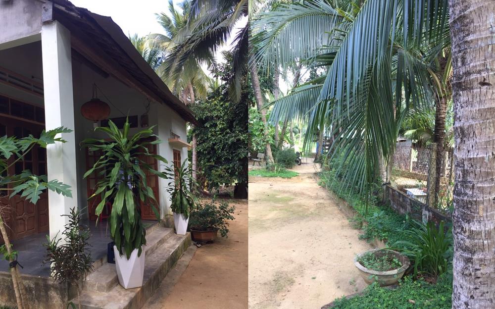 nhà vườn ven thị xã hoài nhơn