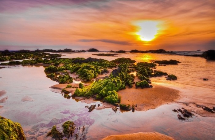 khu đô thị long sơn hoài nhơn bình định