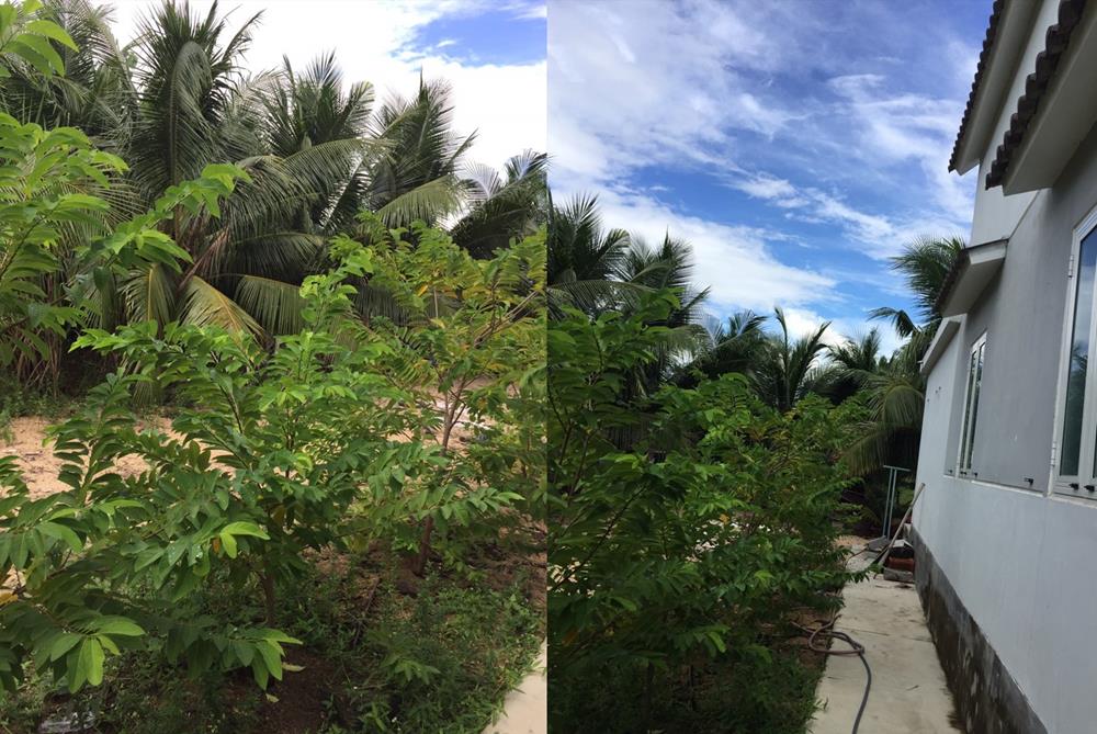 nhà giá rẻ phù cát