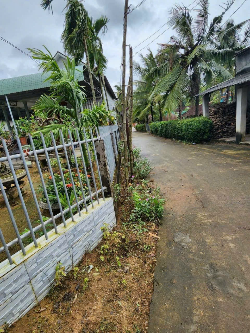 bán đất phù mỹ giá rẻ