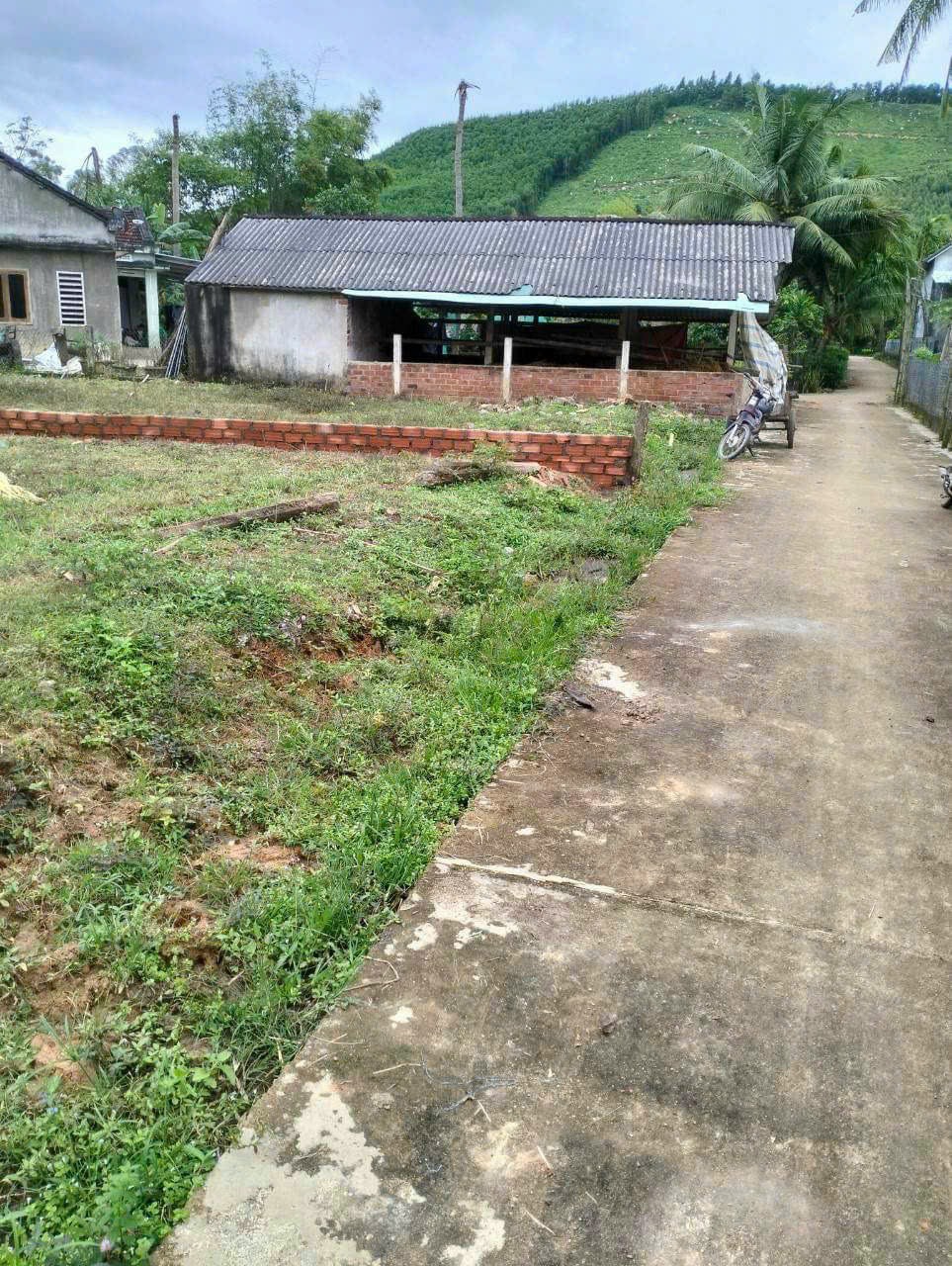 mua đất phù mỹ giá rẻ