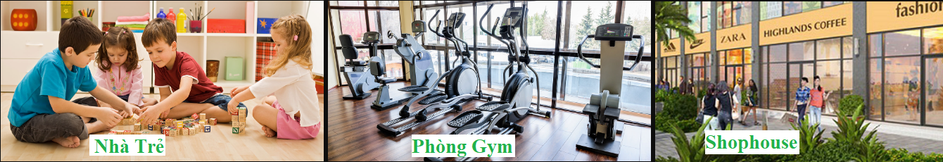 can ho thinh phat thanh nien
