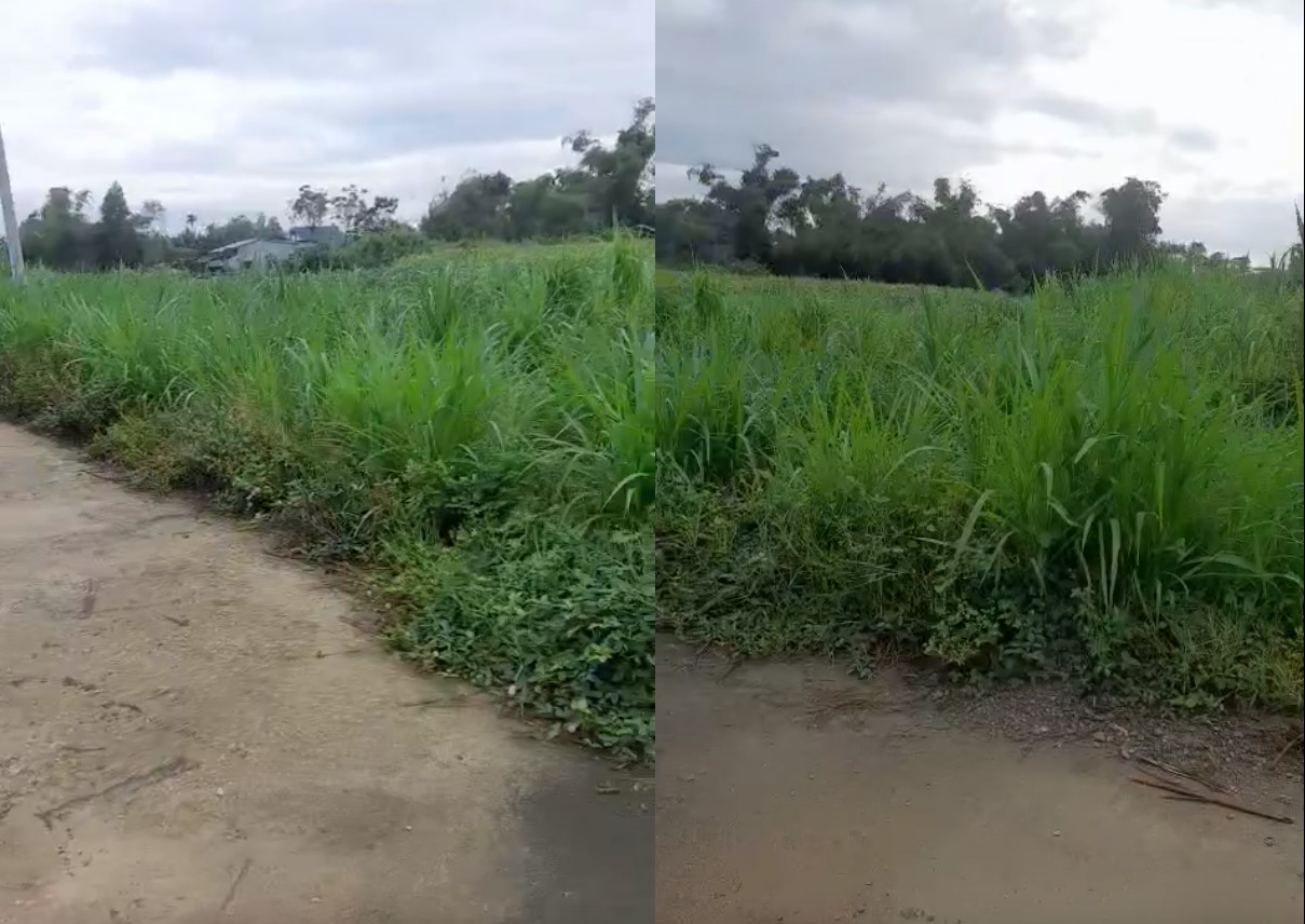 đất vườn tuy phước giá rẻ